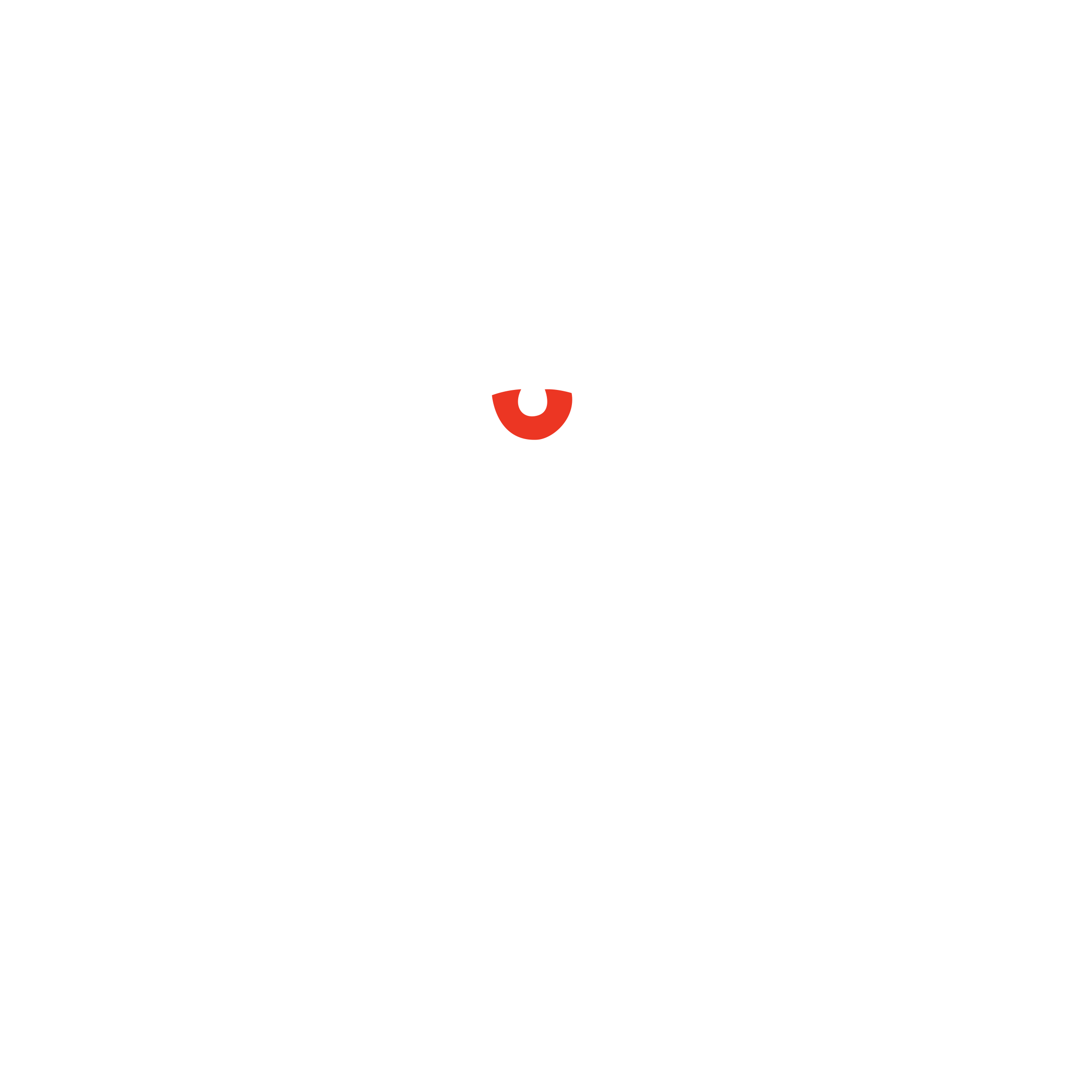 Zooropa Design